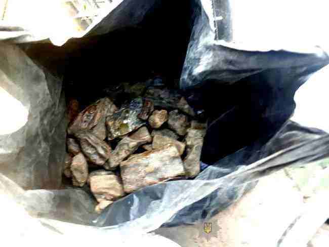Полицейские пришли с обыском из-за оружия и изъяли 37 килограммов янтаря-сырца на Ривненщине 02