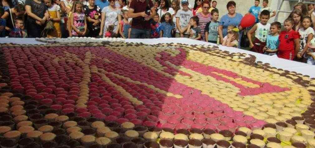 В Кам’янському відбувся смачний фестиваль та встановили рекорд