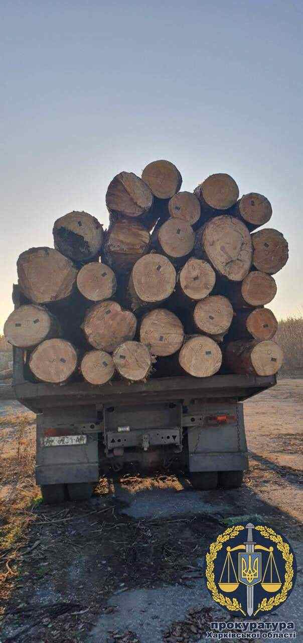 На Харьковщине на взятке 20 тыс. грн за реализацию древесины задержан лесничий, - прокуратура 01