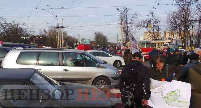 Киевляне, протестующие против застройки парка Кристерова горка, перекрыли улицу Вышгородскую и площадь Шевченко 32
