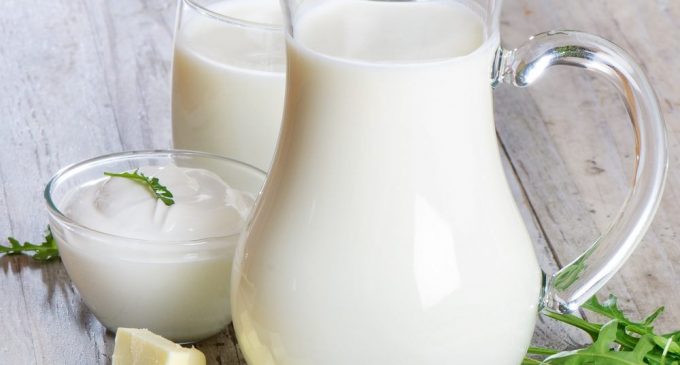 2019 год стал рекордным по производству молока в Украине
