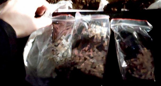 На Днепропетровщине мужчина хранил в пачке из-под чая 131 “трубочку” с метамфетамином, – ФОТО