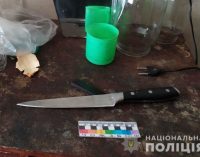 В Днепропетровской области мужчина из-за ревности ударил ножом собутыльника, – ФОТО