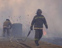 ГСЧС борется с пожарами в плавнях на Одесчине и Николаевщине. ВИДЕО+ФОТОрепортаж