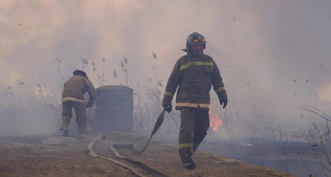 ГСЧС борется с пожарами в плавнях на Одесчине и Николаевщине. ВИДЕО+ФОТОрепортаж