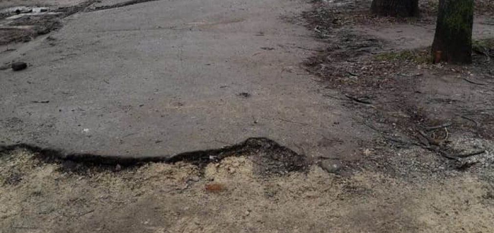 В Днепре на Тополе реконструируют аллею: что с ней не так, – ФОТО