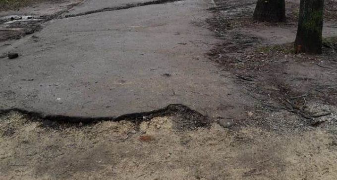 В Днепре на Тополе реконструируют аллею: что с ней не так, – ФОТО
