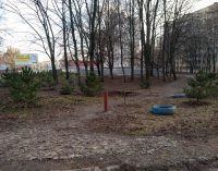 В канун праздников в Днепре неизвестные вырвали несколько елок на Тополе, – ФОТО