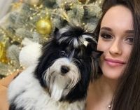 Волшебная новогодняя ночь: лучшие фото днепрян с Instagram