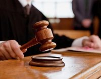 На Днепропетровщине прокуратура вернула государству землю стоимостью 32 миллиона гривен