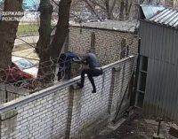 Черновол взяла «штурмом» ГБР – перелезла через забор с проволокой