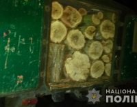На Днепропетровщине двое мужчин незаконно рубили лес и вывозили древесину на автомобиле, – ФОТО