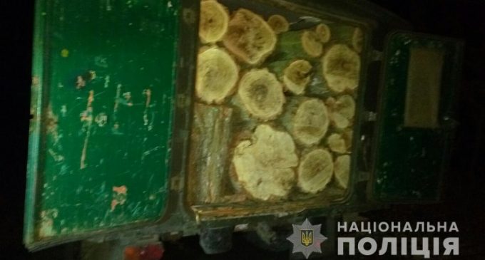 На Днепропетровщине двое мужчин незаконно рубили лес и вывозили древесину на автомобиле, – ФОТО