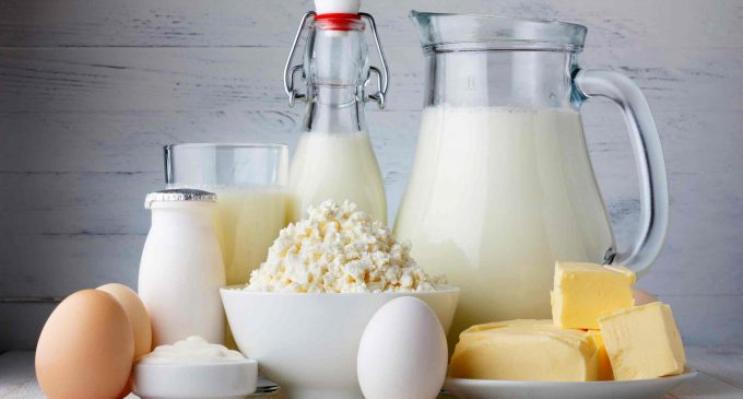 В Украине сократился экспорт молочной продукции
