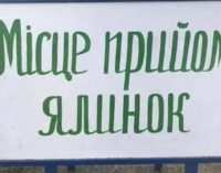 Время пришло: пункты приема елок в Днепре