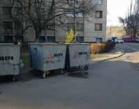 Что делать с елкой после Нового Года в Днепре