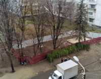 Днепряне требуют запретить вырубку деревьев в сквере им. Янгеля