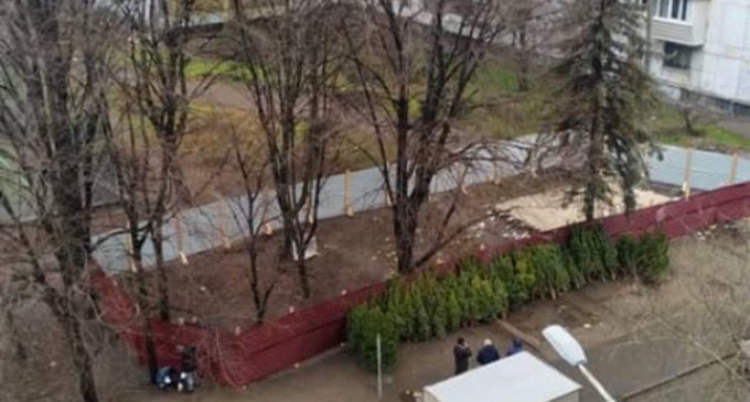 Днепряне требуют запретить вырубку деревьев в сквере им. Янгеля