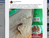 В Днепре женщина рассказала, что нашла живую личинку в хлебе