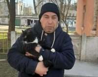 В Днепре кот застрял на высоте 4-х метров и не мог слезть самостоятельно, – ФОТО