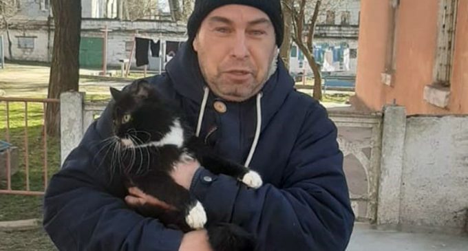 В Днепре кот застрял на высоте 4-х метров и не мог слезть самостоятельно, – ФОТО