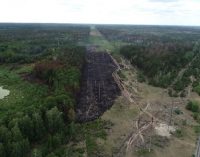 В Чернобыле обнаружили поля, на которых выращивают сельхозкультуры