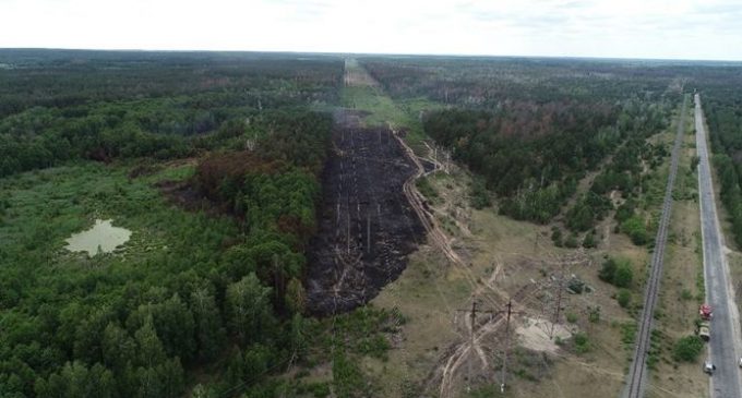 В Чернобыле обнаружили поля, на которых выращивают сельхозкультуры