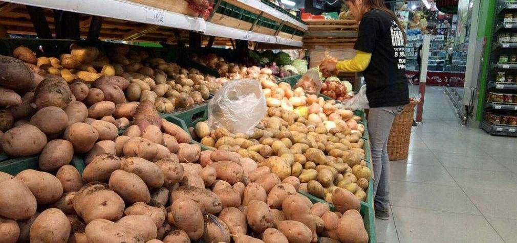Оснований для подорожания картофеля нет, – эксперты