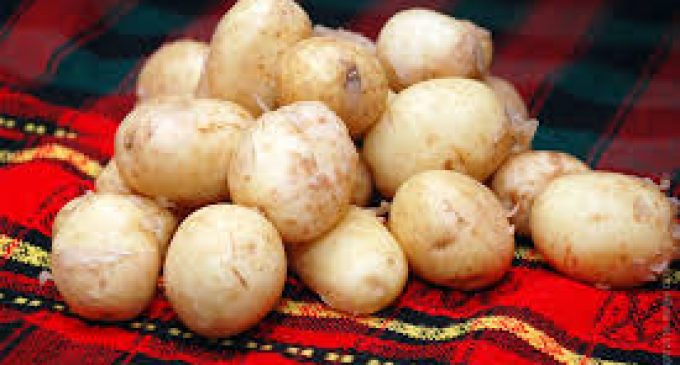 Украина увеличила импорт картофеля в 43 раза