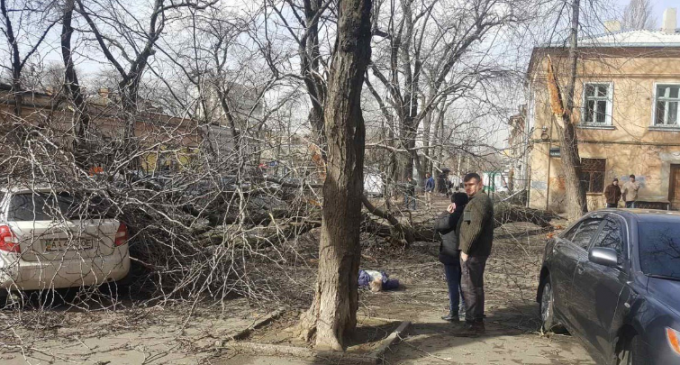 Ураган в Украине: первые жертвы, поваленные деревья и сорванные крыши