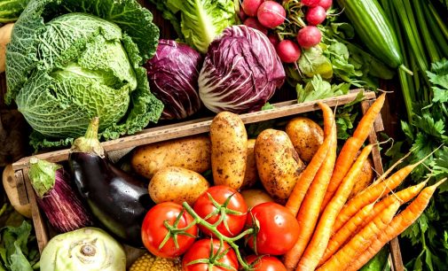 В Украине снизились цены на некоторые виды овощей и гречку