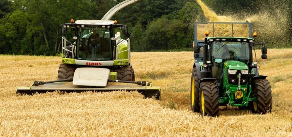 В Украине выгоднее всего выращивать просо, – эксперты