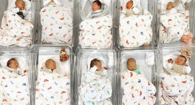 Днепропетровская область – одна из самых плодовитых и вторая по рождаемости в Украине
