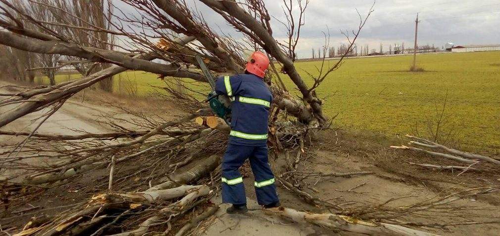 Непогода в Украине: сорванные крыши, упавшие деревья и травмированные