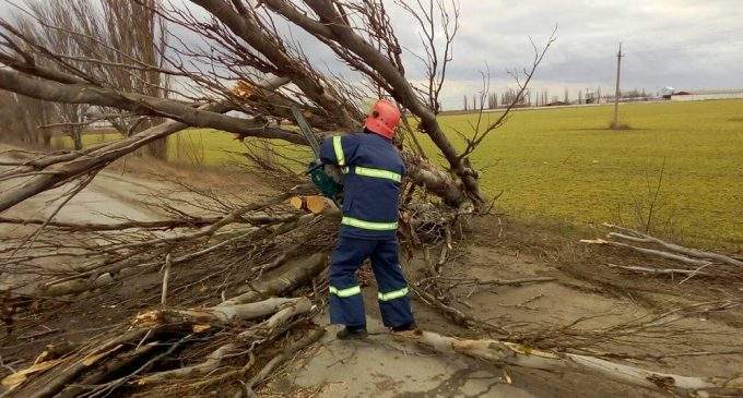 Непогода в Украине: сорванные крыши, упавшие деревья и травмированные