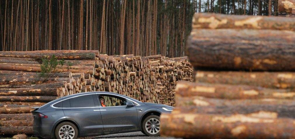 Суд Германии позволил вырубить лес ради строительства завода Tesla