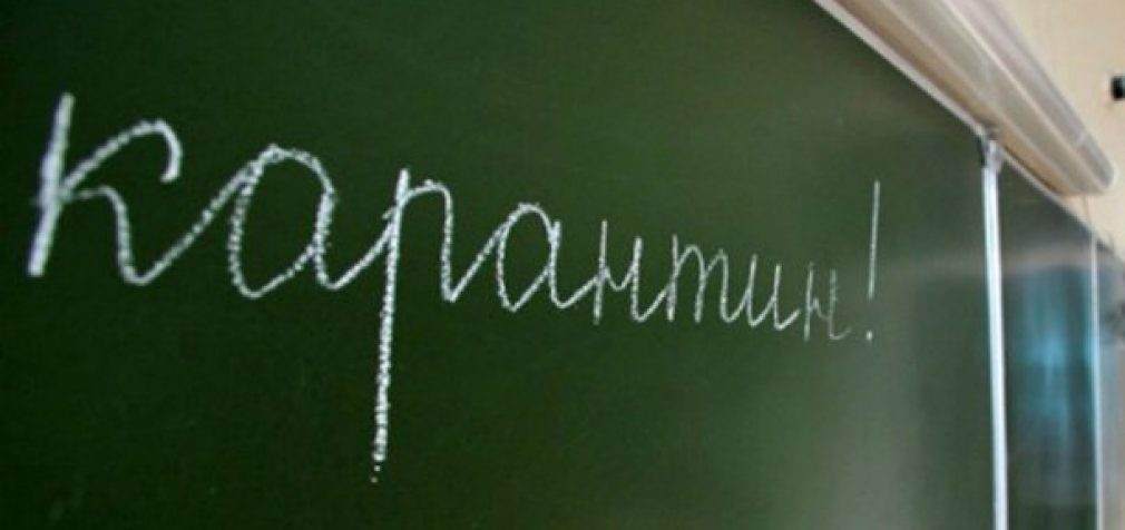 У загальноосвітніх закладах Кам’янського оголошено карантин