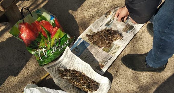 На Днепропетровщине мужчина хранил у себя дома высушенную коноплю и пластиковые приспособления для курения, – ФОТО