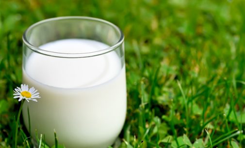 В Украине возник острый дефицит молока-сырья, – эксперты