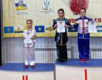 Спортсмены из Днепропетровщины завоевали 20 медалей на чемпионате Украины по ушу, – ФОТО