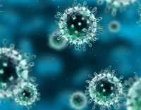 В Украине зафиксировали 2 новых случая инфицирования коронавирусом: в каких областях