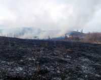 30 пожаров за сутки: спасатели просят жителей Днепропетровщины не сжигать траву, – ФОТО