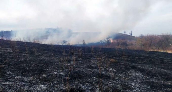 30 пожаров за сутки: спасатели просят жителей Днепропетровщины не сжигать траву, – ФОТО