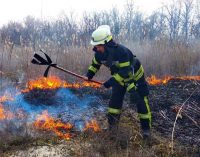 16 пожаров за сутки: спасатели просят жителей Днепропетровщины не сжигать траву, – ФОТО
