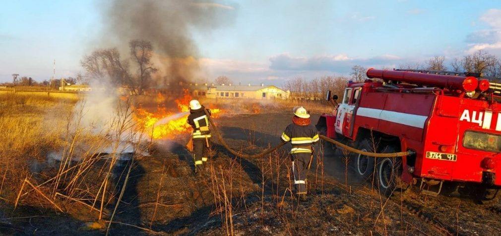 В Днепропетровской области спасатели тушили загоревшуюся сухую траву, – ФОТО