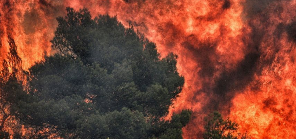 48 пожаров за сутки: спасатели просят жителей Днепропетровщины не сжигать траву, – ФОТО