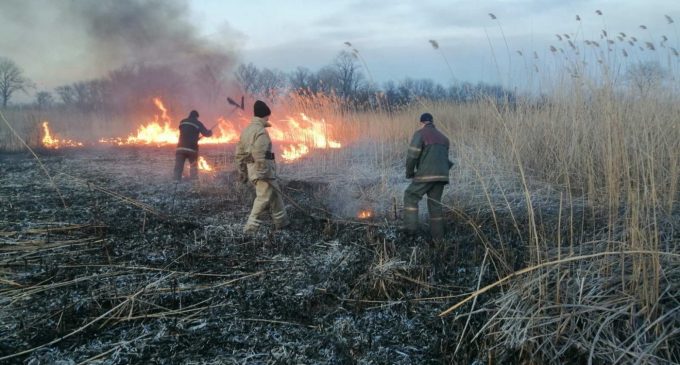 Под Днепром горело 2 га сухой травы: поджигательницу оштрафовали полицейские, – ФОТО