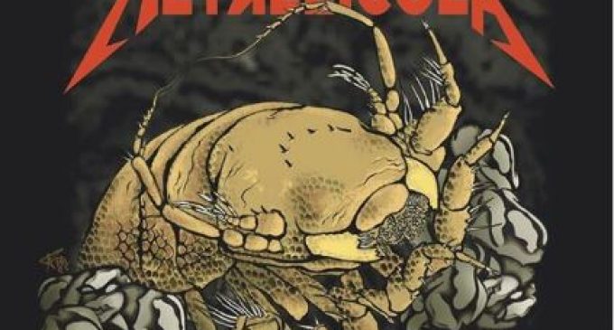 Новый вид ракообразных назвали в честь легендарной группы Metallica
