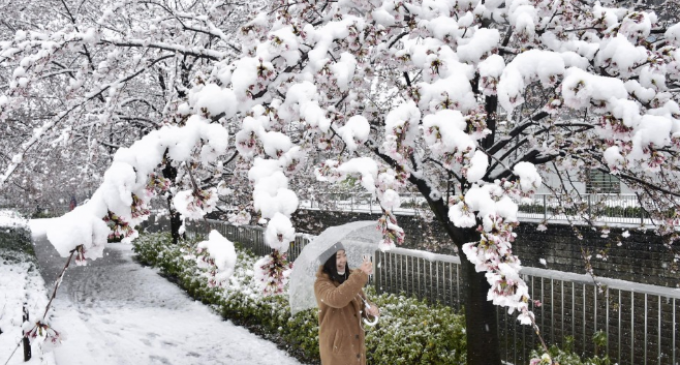 Пандемия снега в Японии, Испании, РФ и Беларуси: зима решила вернуться