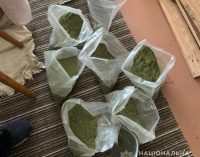 В Днепре мужчина хранил дома наркотики на сумму около 500 тысяч гривен, – ФОТО, ВИДЕО